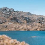 Jóvenes promueven el cambio climático a través de proyectos juveniles en Cuenca.