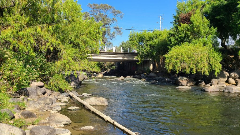 Tres de los ríos de Cuenca presentan niveles de caudales bajos.