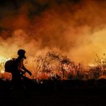 Los bomberos que actúan contra los incendios en el Pantanal, un vasto humedal compartido por Brasil, Bolivia y Paraguay, consideraron este domingo que las llamas han comenzado a retroceder, pero admitirán que todavía no pueden controlarlas por completo. EFE