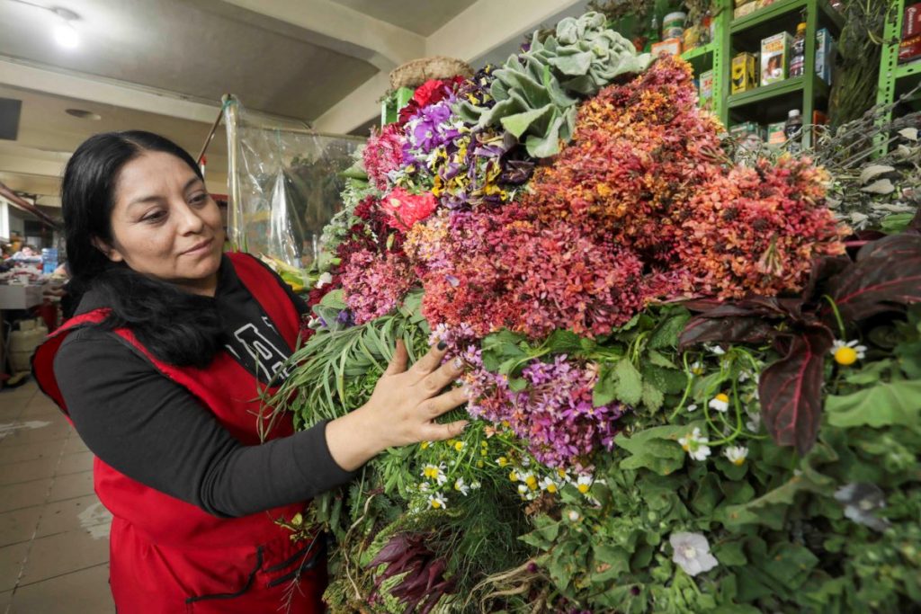Gladis Giñin, comercializa plantas medicinales en el Mercado 10 de agosto. La Farmacopea Herbolaria busca preservar los conocimientos ancestrales