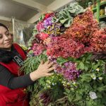 Gladis Giñin, comercializa plantas medicinales en el Mercado 10 de agosto. La Farmacopea Herbolaria busca preservar los conocimientos ancestrales