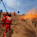 Unos 28 incendios forestales que han estallado en la surandina región peruana de Cuzco en lo que va del año han destruido 677 hectáreas de pastizales en diversas provincias de este departamento de Perú