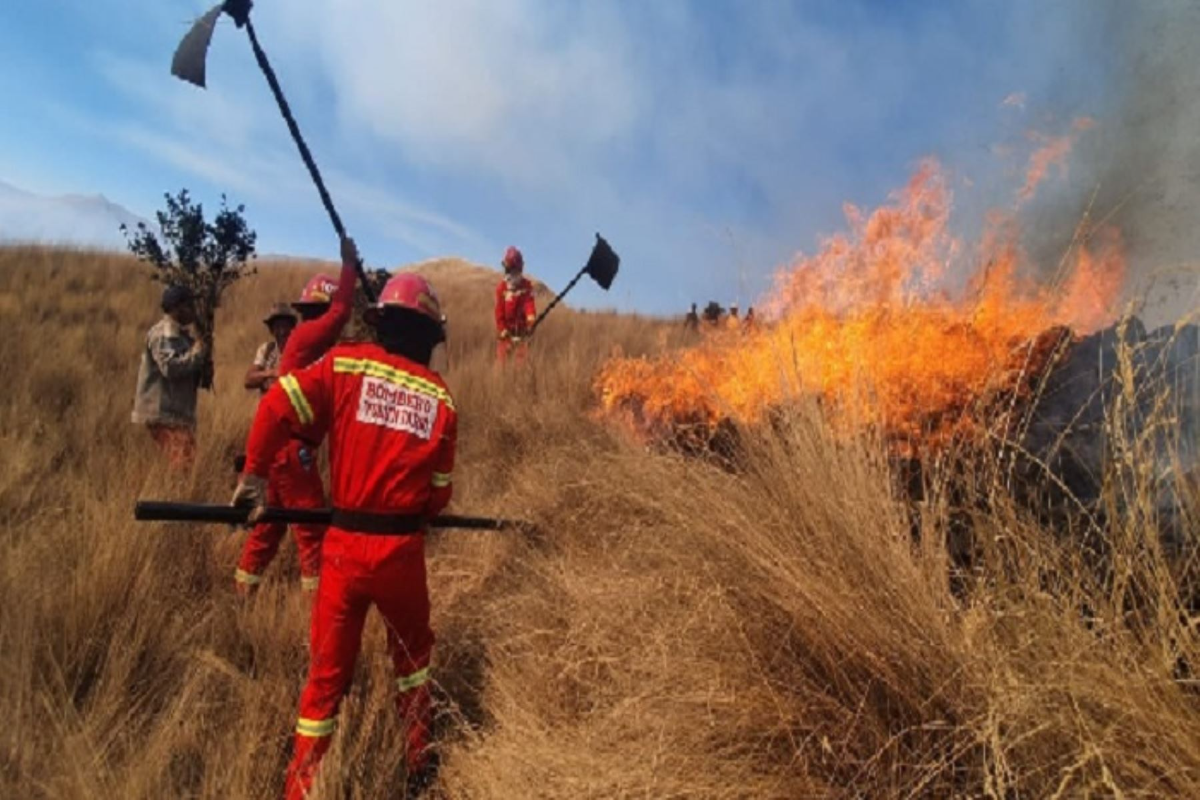 Unos 28 incendios forestales que han estallado en la surandina región peruana de Cuzco en lo que va del año han destruido 677 hectáreas de pastizales en diversas provincias de este departamento de Perú