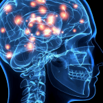 el Centro de Investigación en Nanomateriales y Nanotecnología (CINN) de Asturias (norte de España) descubrió que los estímulos ambientales físicos y cognitivos son capaces de lograr un “rejuvenecimiento molecular del cerebro”