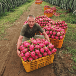 El sector agropecuario en Ecuador es fundamental para la economía y la seguridad alimentaria del país