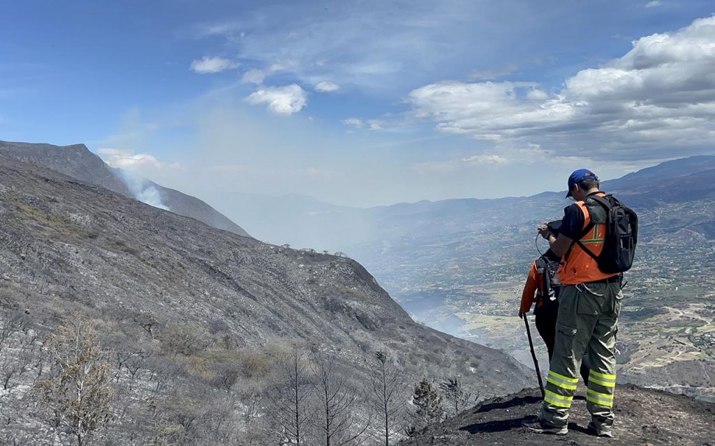 El área afectada por el incendio forestal en El Quingo aumentó de 400 a 850 hectáreas.