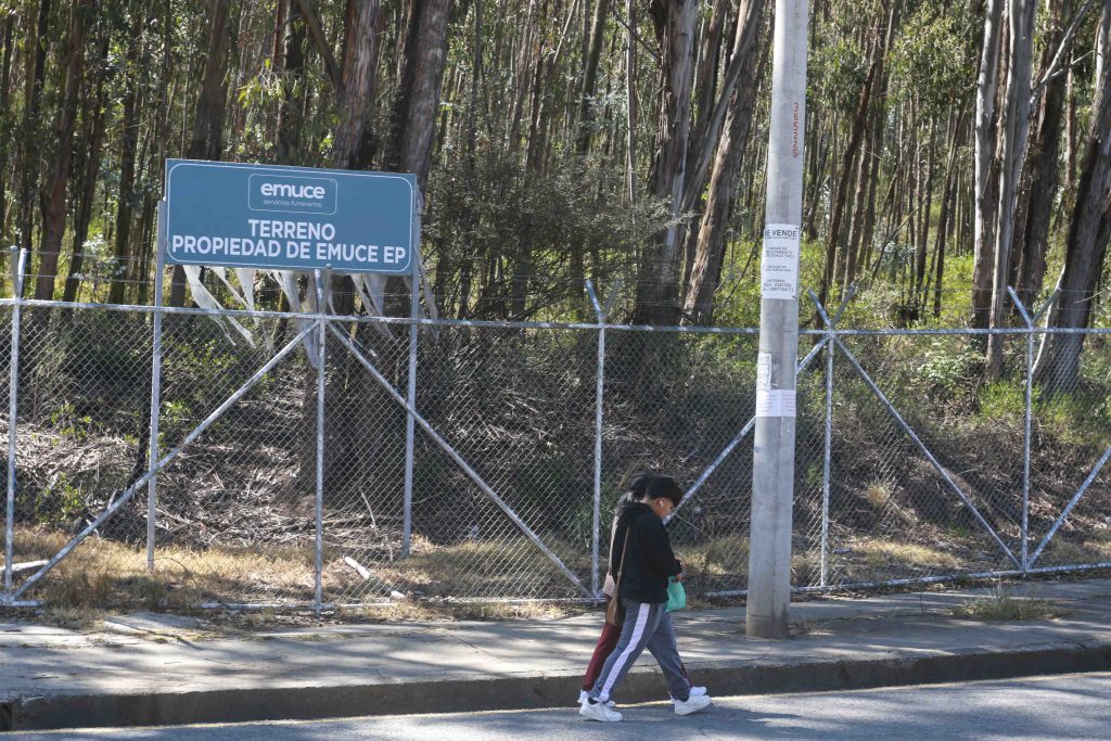 cementerio - millones