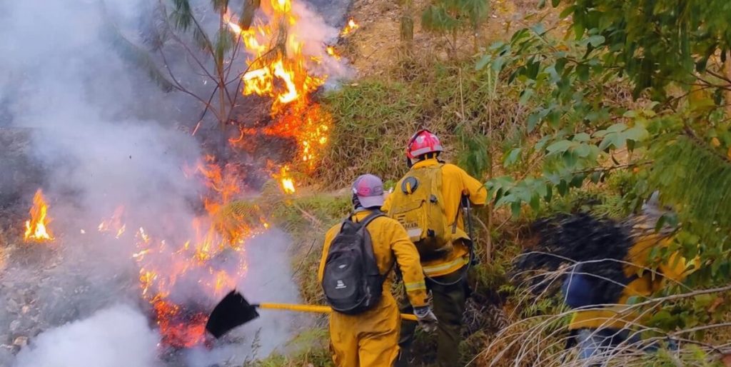 Incendios forestales han devastado vegetación en los cantones de Cuenca y Girón en la provincia del Azuay.