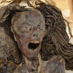 nvestigadores de la Universidad de El Cairo han analizado con las técnicas más avanzadas la momia de que la que se conoce como “la mujer que grita” y han publicado sus resultados en Frontiers in Medicine. 3.500 años después de morir, su momia mantiene en la cara la expresión de un grito, quizás de agonía. Ahora, 89 años después de su descubrimiento en Egipto, se ha determinado que tenía unos 48 años, no está clara la causa de su fallecimiento y fue embalsamada con esmero EFE