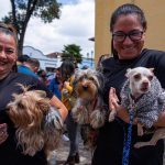 El estudio, recogido este miércoles en la revista Plos One, indica que los perros no se limitan a leer el lenguaje corporal de sus dueños, sino que comprenden las palabras y son capaces de reaccionar ante ellas las pronuncien sus dueños o no.