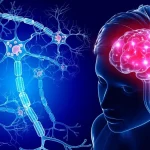 Un equipo internacional de científicos ha descubierto que un tipo de fármaco desarrollado para tratar el cáncer podría ser útil para tratar enfermedades neurodegenerativas como el Alzheimer,