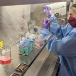 Una misión financiada por la NASA que despegará este sábado desde Cabo Cañaveral (Florida) con material científico a la Estación Espacial Internacional (EEI) tiene como una de sus prioridades lograr producir por primera vez células madre en microgravedad. Llevaremos a cabo todo el proceso de reprogramación de células madre pluripotentes inducidas en el espacio, y es la primera vez que se hace", dijo en un comunicado Arun Sharma, biólogo de células madre e investigador científico del Instituto de Medicina Regenerativa de Cedars-Sinai. EFE