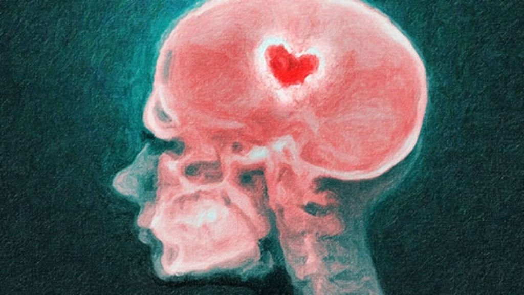Los resultados de los registros de actividad cerebral han avanzando en la concreción de que el amor se activa en diferentes áreas cerebrales: