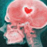 Los resultados de los registros de actividad cerebral han avanzando en la concreción de que el amor se activa en diferentes áreas cerebrales: