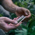 El ciudadano fue sentenciado por el delito de venta y almacenamiento de droga en Cuenca. /Foto referencial