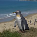 Los fósiles de un diminuto pingüino que habitó Nueva Zelanda hace 24 millones de años pueden dar pistas sobre el desarrollo de sus habilidades para nadar durante su proceso evolutivo, según un estudio divulgado este jueves por fuentes académicas. En la imagen reconstruccióndel pingüino Pakudyptes en una costa de Nueva Zelanda. EFE