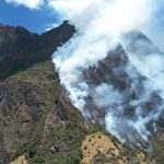 incendios forestales