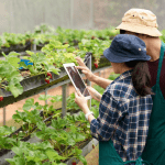 El programa AgriFoodTech busca invertir en al menos 18 emprendimientos en los próximos dos años.