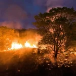 El Pantanal, el mayor humedal del mundo y que Brasil comparte con Bolivia y Paraguay, registró en los primeros siete meses de este año 4.756 incendios forestales