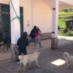 Niños de la zona de San Vicente de Arrayán disfrutan de los últimos días de vacaciones, previo al inicio del año lectivo en la UE del Milenio “Victoria del Portete”, el 2 de septiembre.