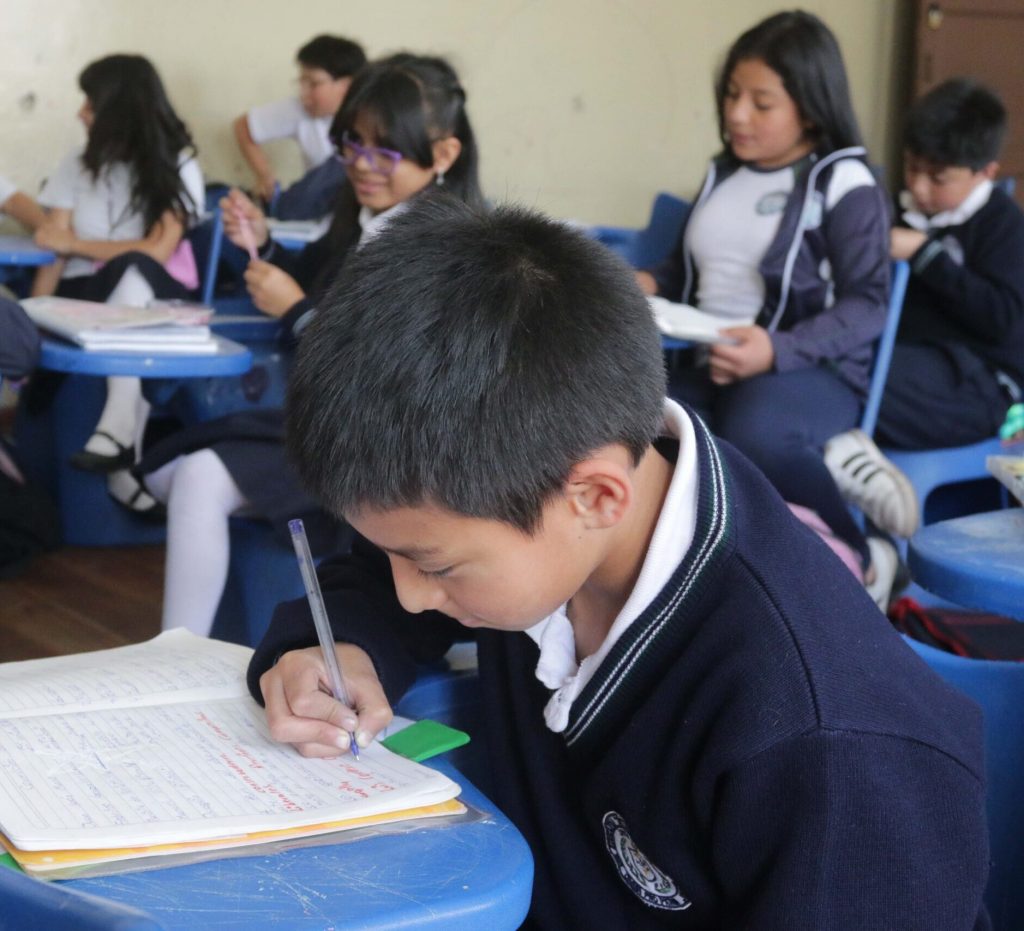 año lectivo 2024 2025