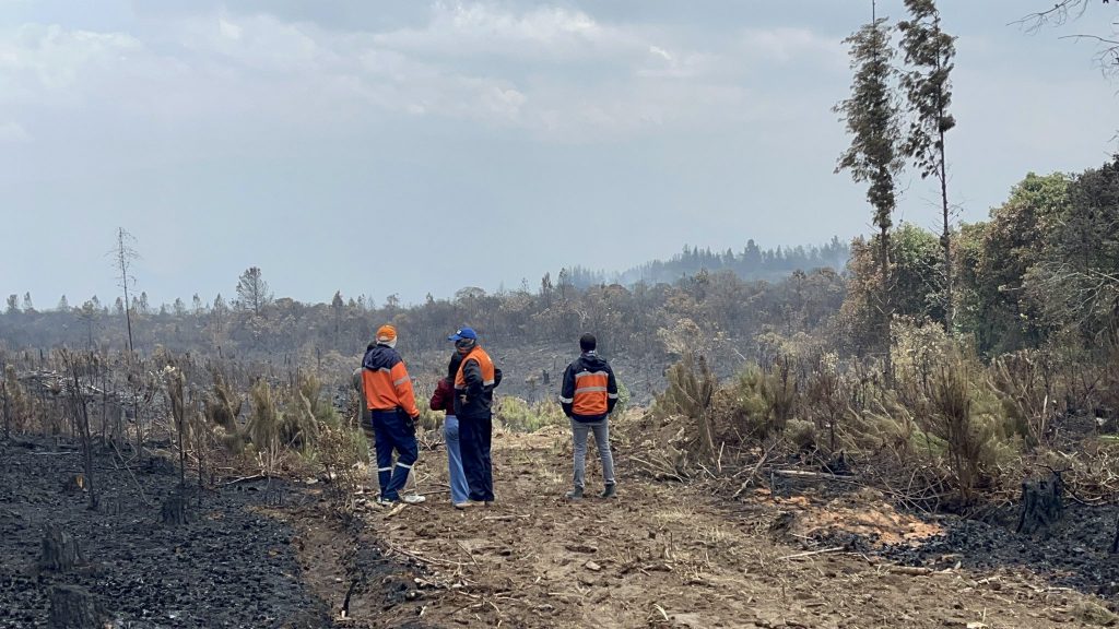 Un incendio forestal ha afectado una extensa zona de vegetación en el cantón Nabón, provincia del Azuay.