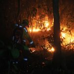 La lucha contra los incendios forestales en la región de la Chiquitania de Bolivia se extiende hasta por 72 horas seguidas para algunos comunarios, bomberos y trabajadores de propiedades rurales que sin dormir o por turnos y con sus propios recursos intentan controlar las llamas que ya han arrasado con millones de hectáreas de bosques en el país andino. EFE