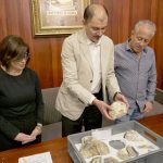 Estos son los 12 restos paleontológicos entregados por el INPC a la Universidad de Cuenca para investigación.