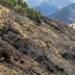 Fuego consumió unas 7.600 hectáreas de vegetación nativa, pastizales, huertas, bosque de pino y cultivos de café en Quilanga, Loja. Helicópteros participaron en el combate del fuego.