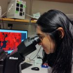 En su espacio de trabajo, Paola Molina combina pasión y ciencia para avanzar en la investigación del cáncer de mama, con la esperanza de contribuir a la salud humana.