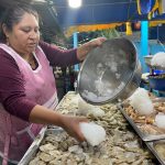 Ofelia Maya, trabajadora de una pescadería en el sector de la Feria Libre, coloca el hielo sobre los camarones para mantener el producto fresco ante los apagones.