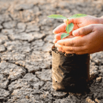 El calentamiento global y los cambios climáticos derivados de él están redefiniendo la forma en que las industrias operan, y la aseguradora no es la excepción.