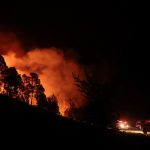 El voraz incendio forestal en la provincia argentina de Córdoba (centro), que ha arrasado en los últimos días miles de hectáreas, mantiene este lunes cuatro focos activos y el riesgo sigue siendo "extremo" en la zona, informaron fuentes oficiales, que confirmaron que hay dos detenidos sospechosos de provocar el fuego. EFE