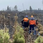 A causa de un incendio forestal se perdió grandes extensiones de terreno en Azuay, señala la Secretaría de Riesgos.