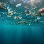 Cada año se vierten en el medioambiente la friolera de 52 millones de toneladas de productos plásticos,