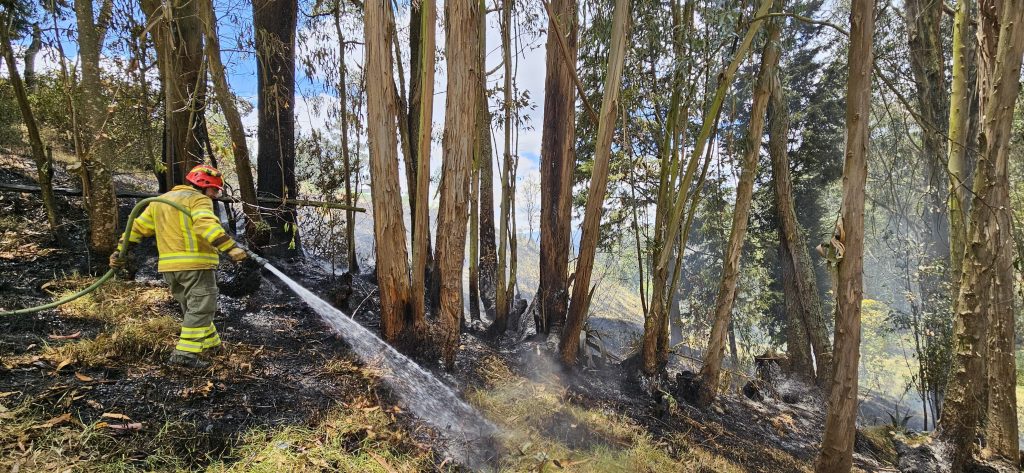 incendios forestales