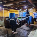 El camal clandestino, ubicado en la avenida Loja, nuevamente fue clausurado.