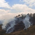 incendios forestales