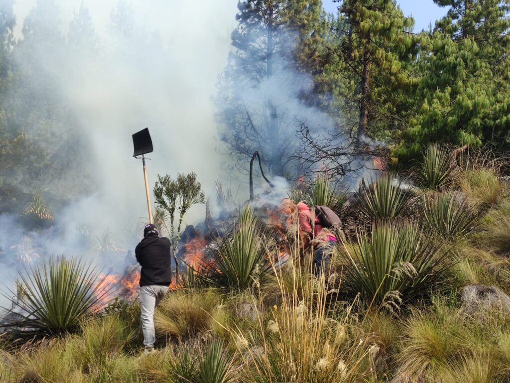 Las brigadas contra el fuego han conformado algunos frentes de trabajo: Verdecocha, Llulluchas, Llaviuco, Lagunas de San Antonio y Lagunas de Patococha.