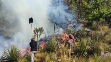 Las brigadas contra el fuego han conformado algunos frentes de trabajo: Verdecocha, Llulluchas, Llaviuco, Lagunas de San Antonio y Lagunas de Patococha.