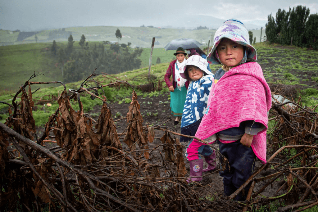 En comparación con otros países de Latinoamerica, Ecuador ocupa el cuarto lugar con índices altos de Desnutrición crónica infantil.
