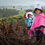 En comparación con otros países de Latinoamerica, Ecuador ocupa el cuarto lugar con índices altos de Desnutrición crónica infantil.