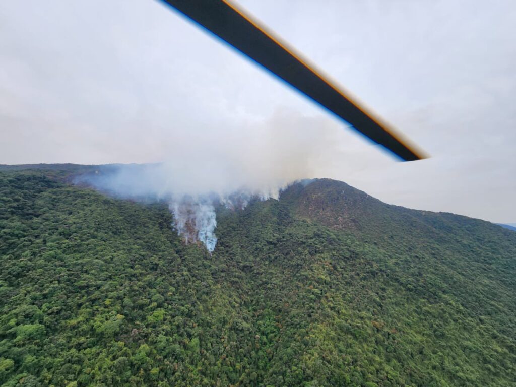 Incendios forestales registrados las horas recientes en Azuay han provocado daños en zonas vegetales cercanas al Cajas.