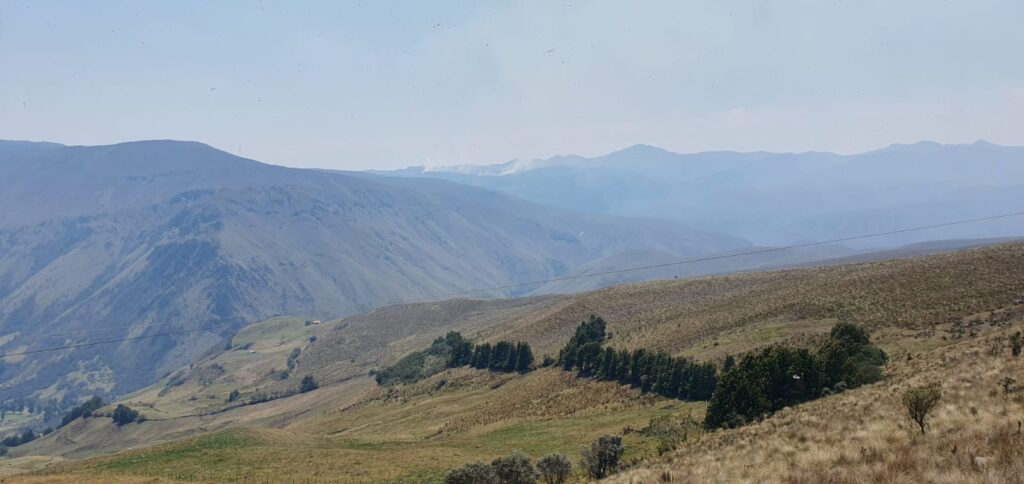 Incendios forestales afectan a las zonas altas de la provincia de Azuay. / Cortesía