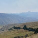 Incendios forestales afectan a las zonas altas de la provincia de Azuay. / Cortesía