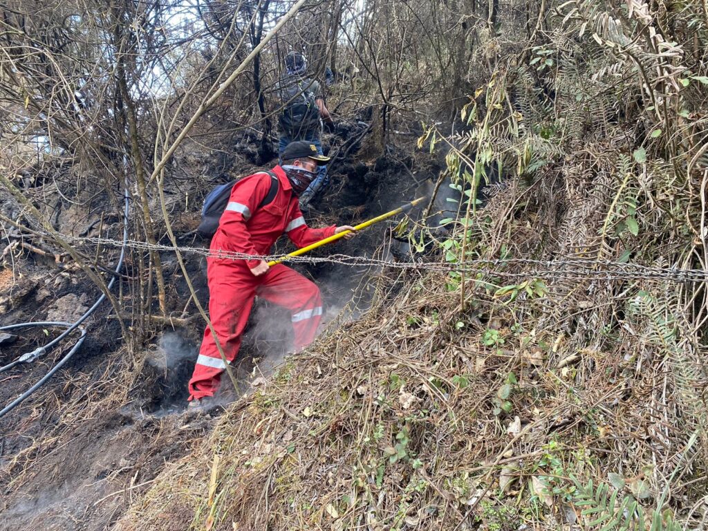 El trabajo de las brigadas contra el fuego ha sido intenso durante el último fin de semana en el Parque Nacional Cajas.