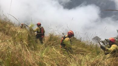 Las labores continúan en Azuay para sofocar los incendios forestales.