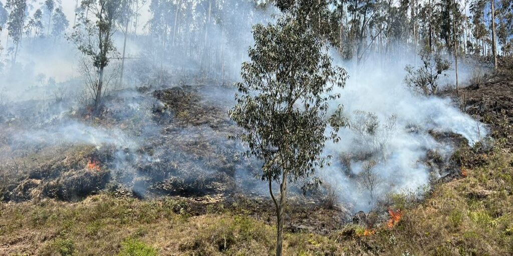 Personal del Cuerpo de Bomberos de Cuenca combatió un incendio forestal en Turi.