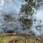 Personal del Cuerpo de Bomberos de Cuenca combatió un incendio forestal en Turi.