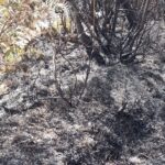 En el cerro Tigranaloma, límite del Parque Nacional Cajas, se produjo un incendio forestal. Bomberos y guardaparques acudieron al sitio para combatir el fuego.